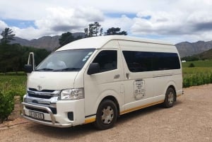 ケープタウン発：ステレンボッシュ 4 エステート 1 日ワイン ツアー