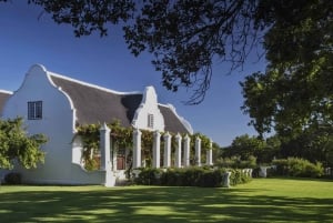 ケープタウン発：ステレンボッシュ 4 エステート 1 日ワイン ツアー