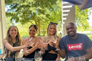 ケープタウン発：ステレンボッシュ 4 エステート 1 日ワイン ツアー