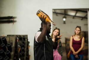 ケープタウン発：ステレンボッシュ 4 エステート 1 日ワイン ツアー