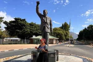 Fra Cape Town: Stellenbosch og Franschhoek vinsmagningstur