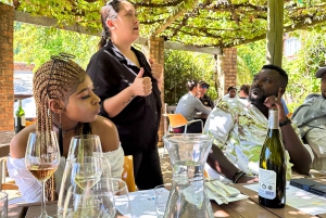 Vanuit Kaapstad: wijnproeverij Stellenbosch en Franschhoek