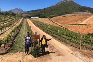 Fra Cape Town: Stellenbosch og Franschhoek vinsmagningstur