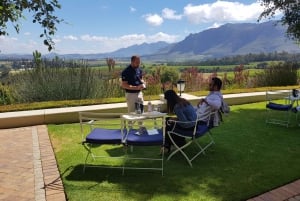 From Cape Town: Stellenbosch Wineries with Tastings