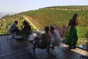 From Cape Town: Stellenbosch Wineries with Tastings