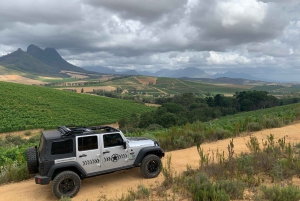 From Cape Town: Stellenbosch Wine Tour
