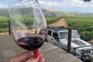 From Cape Town: Stellenbosch Wine Tour