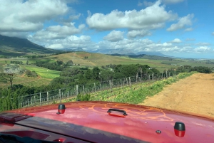 From Cape Town: Stellenbosch Wine Tour
