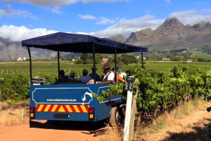 Z Kapsztadu: traktor po winnicach Stellenbosch z przewodnikiem