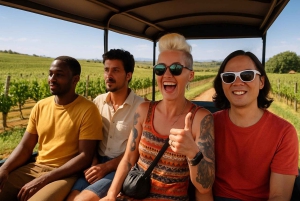 Z Kapsztadu: traktor po winnicach Stellenbosch z przewodnikiem