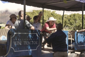 Z Kapsztadu: traktor po winnicach Stellenbosch z przewodnikiem
