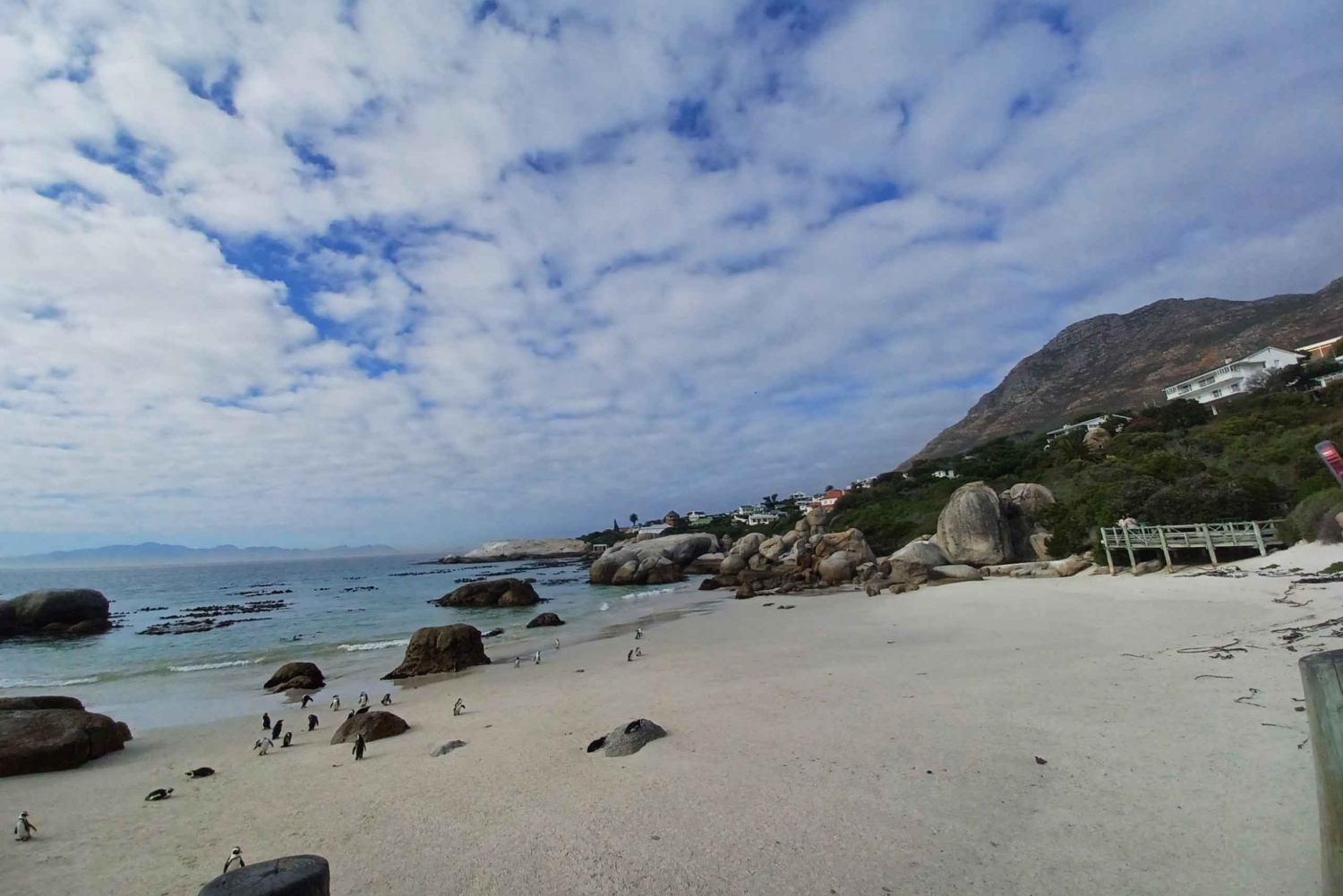 Vanuit Kaapstad: Tafelberg en Kaap de Goede Hoop Tour