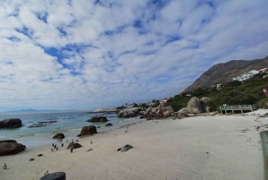 From Cape Town: Table Mountain and Cape of Good Hope Tour