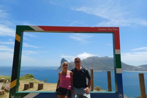 From Cape Town: Table Mountain and Cape of Good Hope Tour