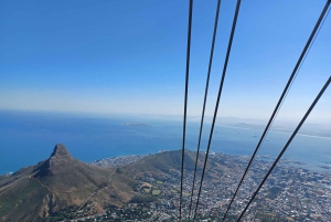From Cape Town: Table Mountain and Cape of Good Hope Tour