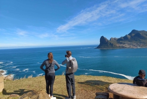 From Cape Town: Table Mountain and Cape of Good Hope Tour