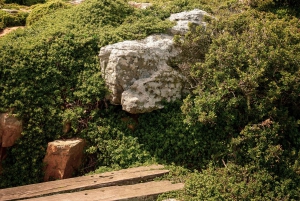 Из Кейптауна: тур по Столовой горе и мысу Доброй Надежды