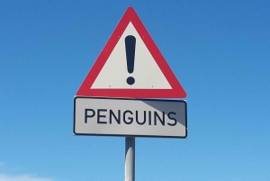 Из Кейптауна: тур по Столовой горе и мысу Доброй Надежды