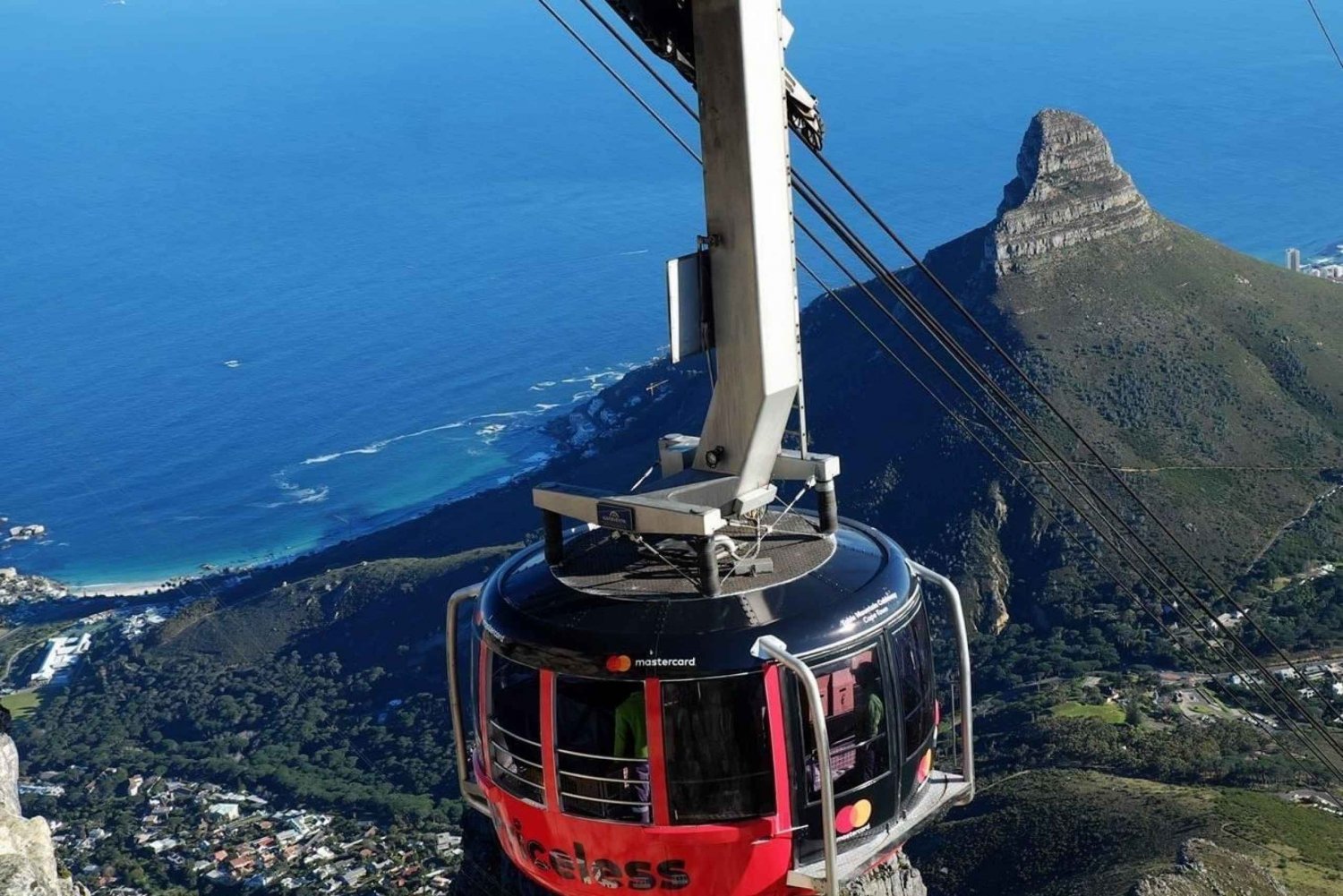 From Cape Town: Table Mountain City tour and Boulders Beach