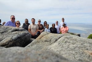 Из Кейптауна: экскурсия по Столовой горе и пляжу Боулдерс