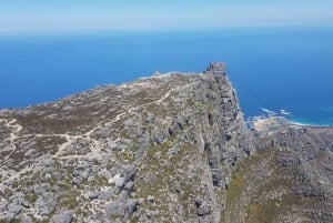Fra Cape Town: Stadstur til Table Mountain og Boulders Beach