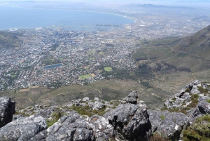Au départ du Cap : visite de la ville de Table Mountain et de Boulders Beach