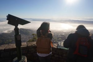 Von Kapstadt aus: Tafelberg-Stadtrundfahrt und Boulders Beach