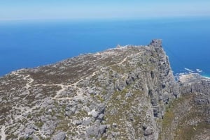 Desde Ciudad del Cabo: tour de la ciudad de Table Mountain y la playa de Boulders