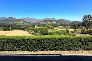 Desde Ciudad del Cabo: tour de la ciudad de Table Mountain y la playa de Boulders