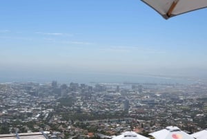 Desde Ciudad del Cabo: tour de la ciudad de Table Mountain y la playa de Boulders