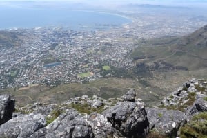 Desde Ciudad del Cabo: tour de la ciudad de Table Mountain y la playa de Boulders