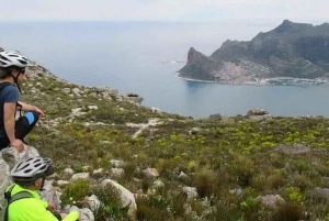 From Cape Town: Table Mountain Scenic E-Bike Tour with Lunch