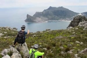 From Cape Town: Table Mountain Scenic E-Bike Tour with Lunch