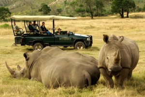 From Cape Town: 2-Day Wildlife and 4x4 Safari Experience