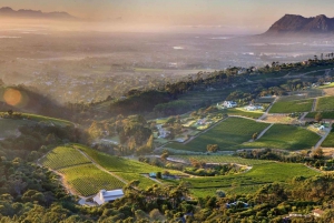 From Cape Town: Western Cape Full-Day Wine and Dine Trip