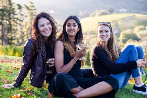 Cape Town: Western Cape Full-Day Wine & Traditional BBQ