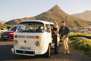 From Cape Town: Western Cape Full-Day Wine and Dine Trip