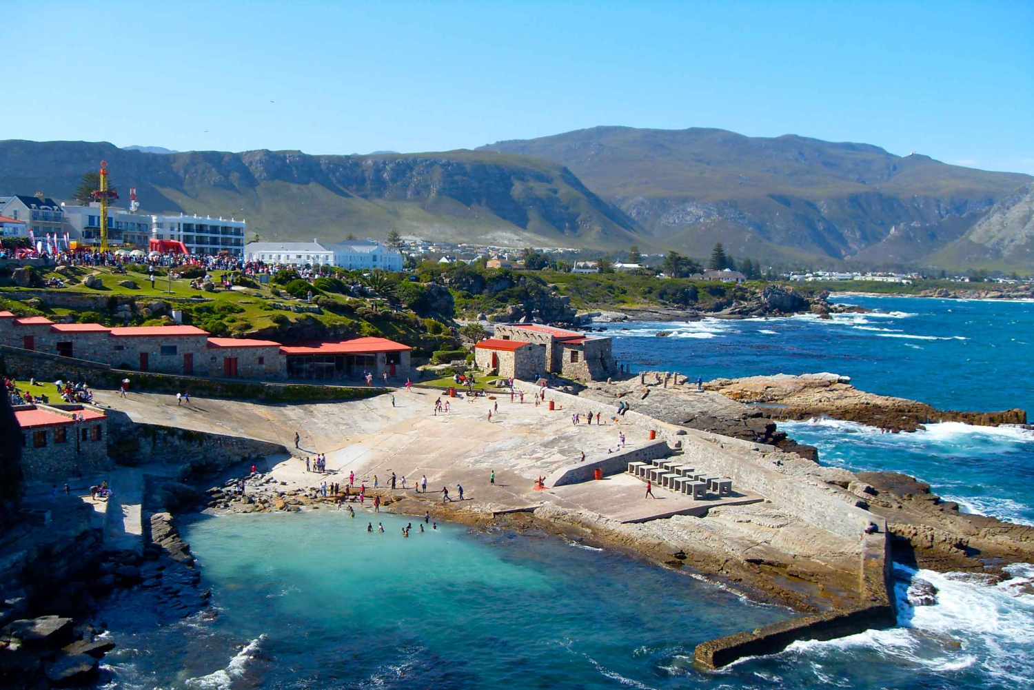 Da Cidade do Cabo: Excursão de observação de baleias em Hermanus e Gansbaai