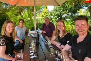 Au départ du Cap : safari animalier, dégustation d'olives, de bière et de vin