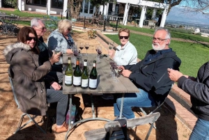 Z Kapsztadu: Wycieczka z degustacją wina Stellenbosch, Franschoek