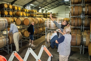 Au départ du Cap : dégustation de vins à Stellenbosch et Franschoek