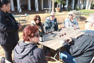 Au départ du Cap : dégustation de vins à Stellenbosch et Franschoek
