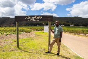 Fra Cape Town: Vinsmagningstur, Stellenbosch & Franschoek