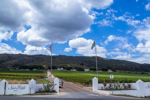 Vanuit Kaapstad: Wijnproeverij, Stellenbosch & Franschoek