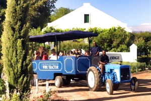 Safari enologico a Stellenbosch da Città del Capo con guida dal vivo