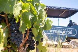 Safari enologico a Stellenbosch da Città del Capo con guida dal vivo