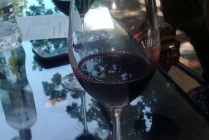 Fra Cape Town: Vintog og safari i Stellenbosch