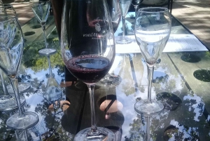 Fra Cape Town: Vintog og safari i Stellenbosch