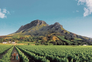 From Cape Town: Winelands and Whale Coast 2-Day Tour