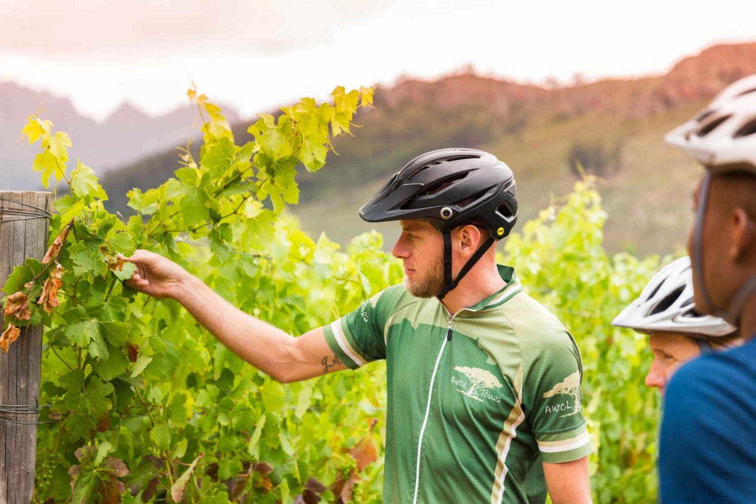 From Cape Town: Winelands Cycling Tour